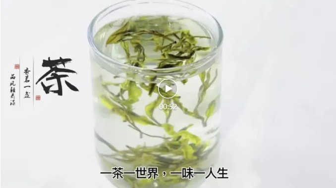 四食豐語|萬八千的春茶，自己在家就能做