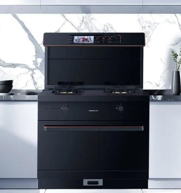 集成灶十大品牌帥豐上市2周年慶活動(dòng)大曝光