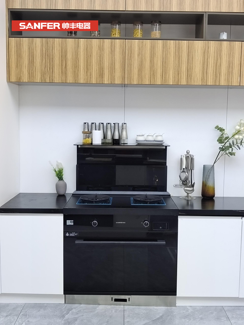 雙十一集成灶選哪個品牌好？這臺集成灶才是真的香