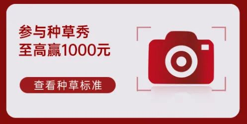 帥豐電器再奪全網(wǎng)第一！雙十一當(dāng)天限時(shí)直降，狂歡最后一天！