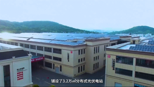 護生態(tài)，行低碳，集成灶品牌帥豐在行動！