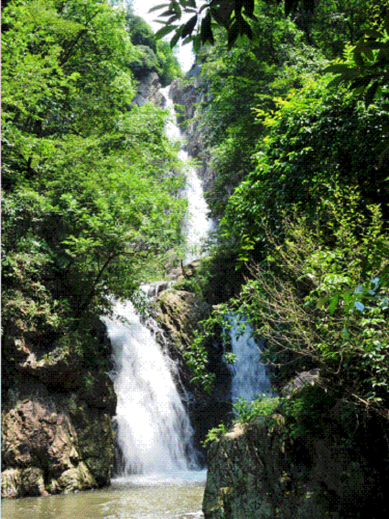 定了！定了?。涁S電器獨家冠名的氧氣BAOBAO音樂節(jié)來啦！