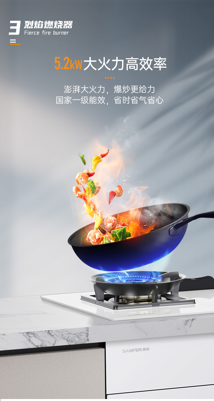 帥豐G5 歸·愛 蒸烤獨(dú)立集成烹飪中心