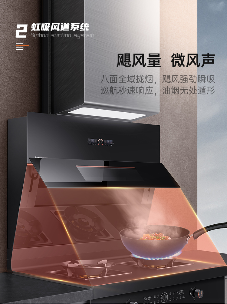 帥豐Z6 筑·夢 蒸烤獨(dú)立集成烹飪中心