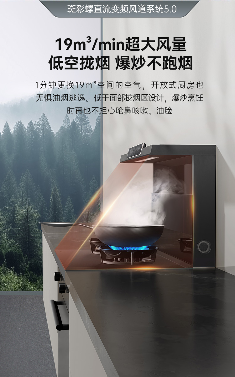 帥豐天機3消毒柜款（黑）集成灶