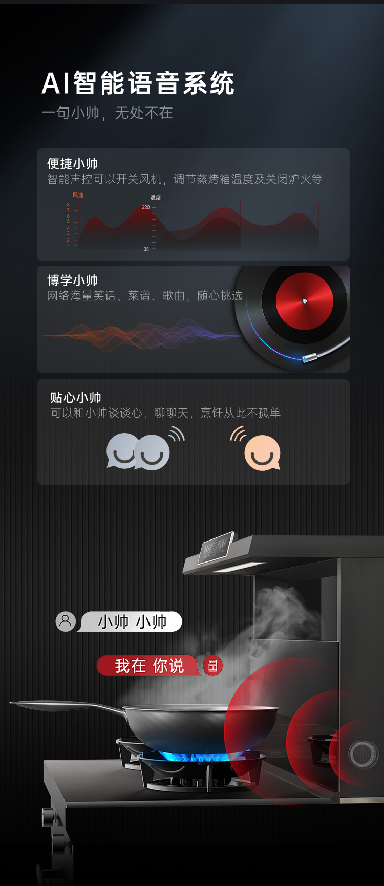 帥豐天機3消毒柜款（黑）集成灶