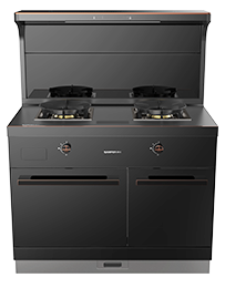 星辰X1雙子星蒸烤獨立(100)