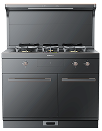 星辰X1雙子星蒸烤獨立(100Pro)