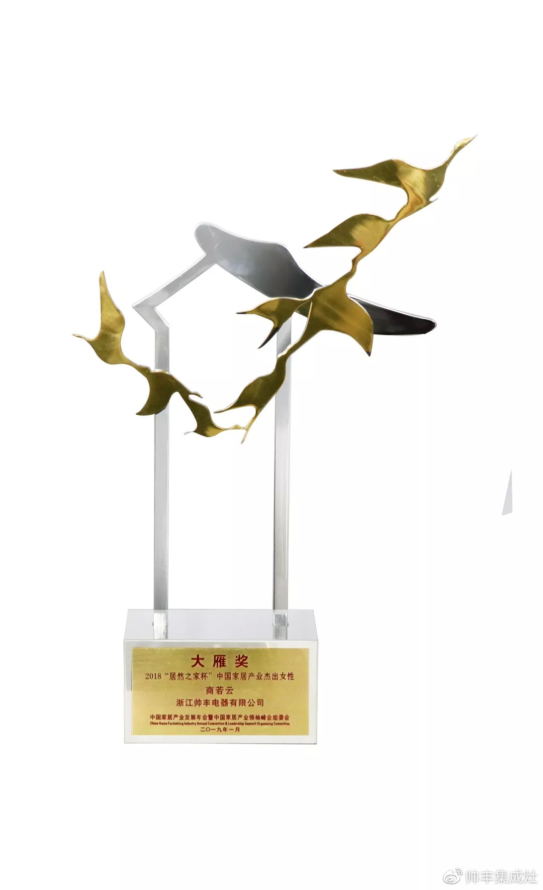 2019斬獲多項個人大獎，帥豐以董事長商若云為傲