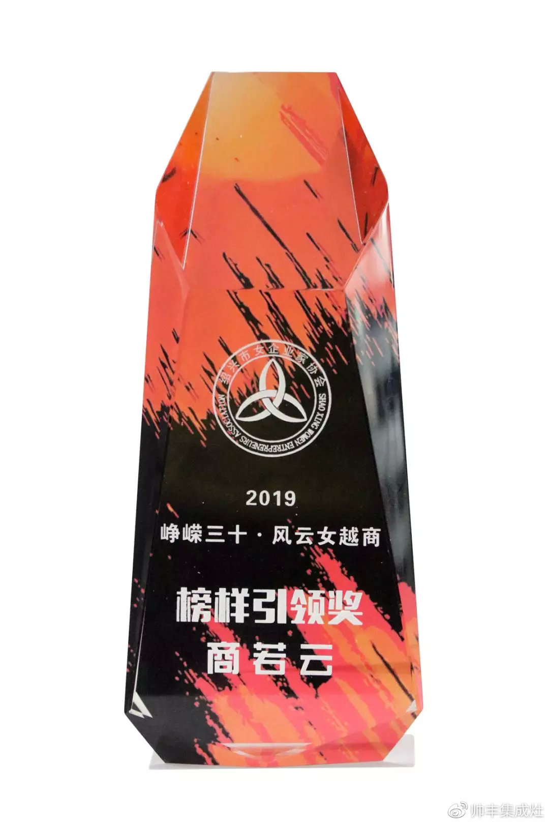 2019斬獲多項個人大獎，帥豐以董事長商若云為傲