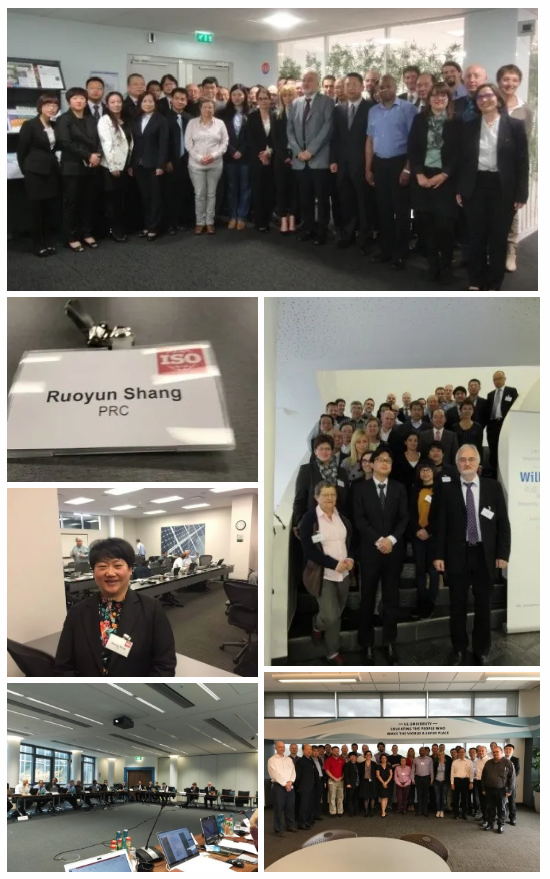 帥豐電器獲批首批省級標(biāo)準(zhǔn)國際化試點(diǎn)單位：把握中國標(biāo)準(zhǔn)工作歷史機(jī)遇期，走高質(zhì)量發(fā)展之路