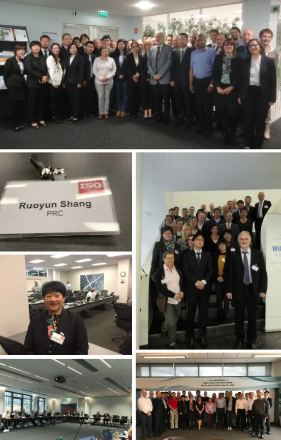 科技創(chuàng)新、標(biāo)準(zhǔn)引領(lǐng)、服務(wù)賦能，帥豐集成灶“奪冠”2021新增市場