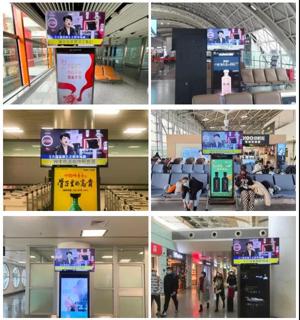 第四屆浙江鳳凰榜出爐|帥豐電器獲評“金鳳凰獎年度十大IPO”